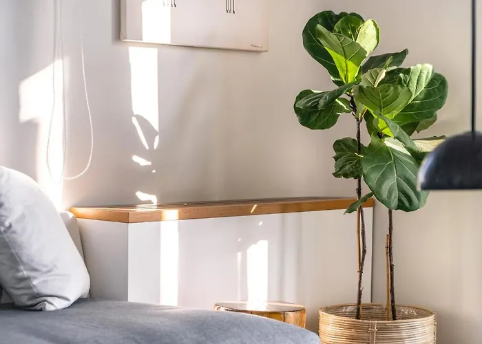 Olivia Mykonos 아기오스 스테파노스